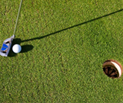 Membros ACP Golfe