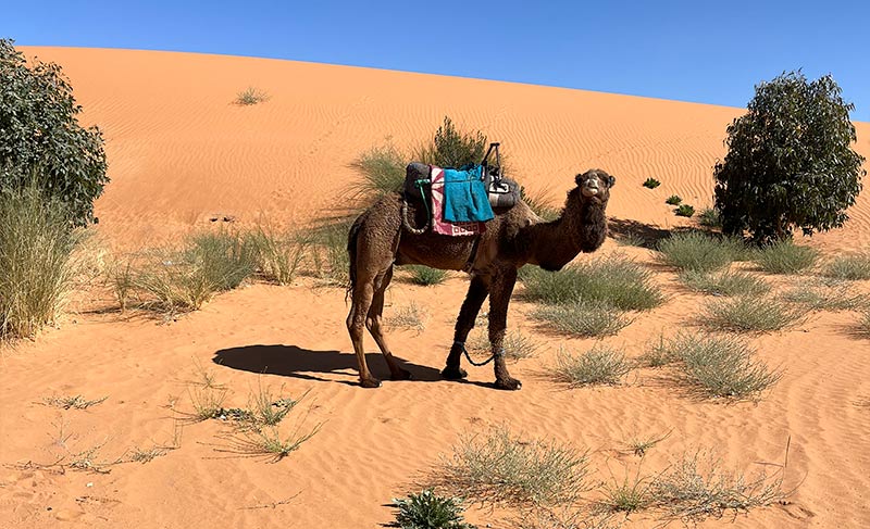 Expedição Marrocos - dia 3