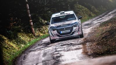 PEUGEOT SPORT_NEW_PEUGEOT_208R2_2