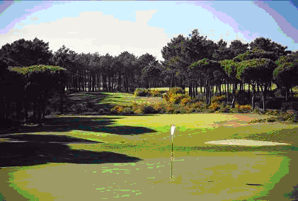 Campo de Golfe