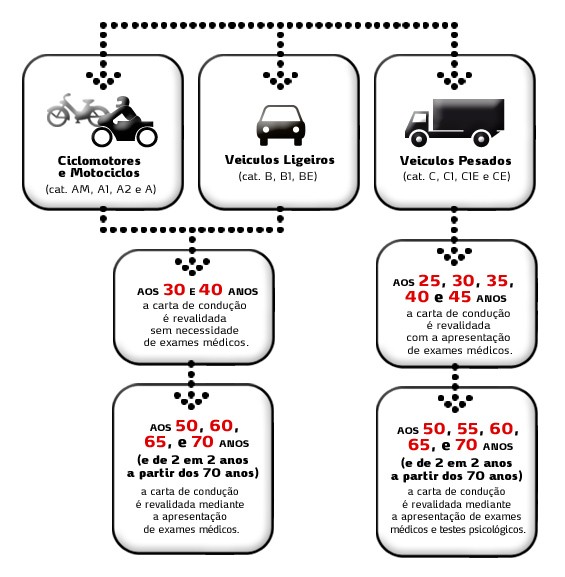 Revalidação da Carta de Condução