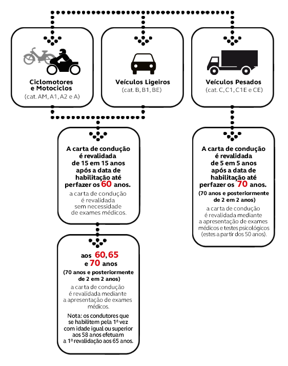 Revalidação da Carta de Condução